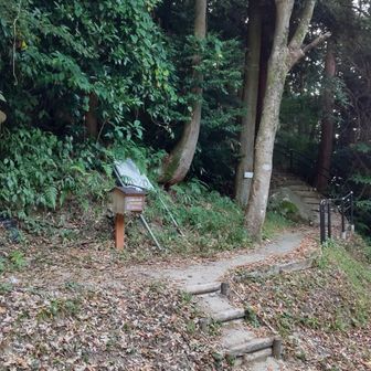 登山口