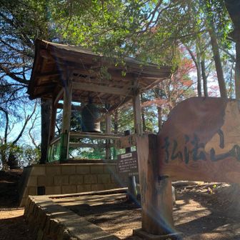 逆光気味なので、ゴーストが凄いな...