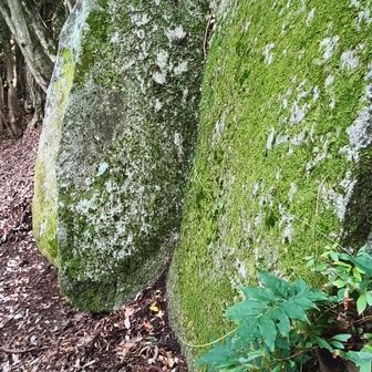 屏風岩,ここまでで滝汗、水500ml消費