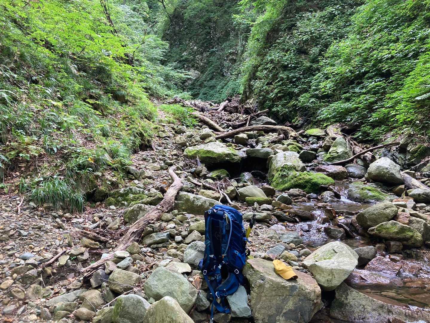 ウシバミ沢
ここで休憩して、登りに備える