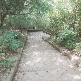 城山方面へ