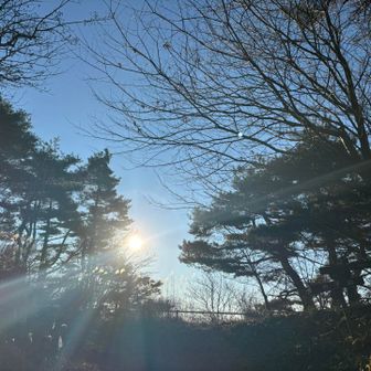 快晴で暖かな日です