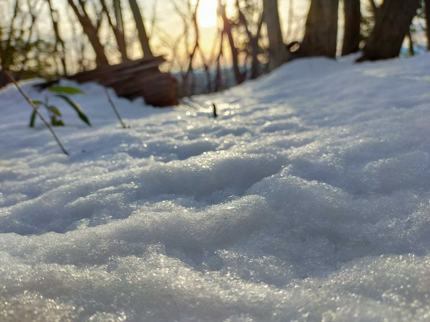 雪歩き❄