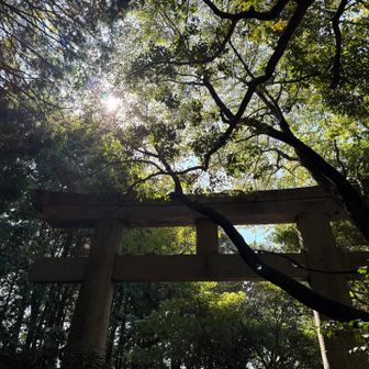 ⛩️