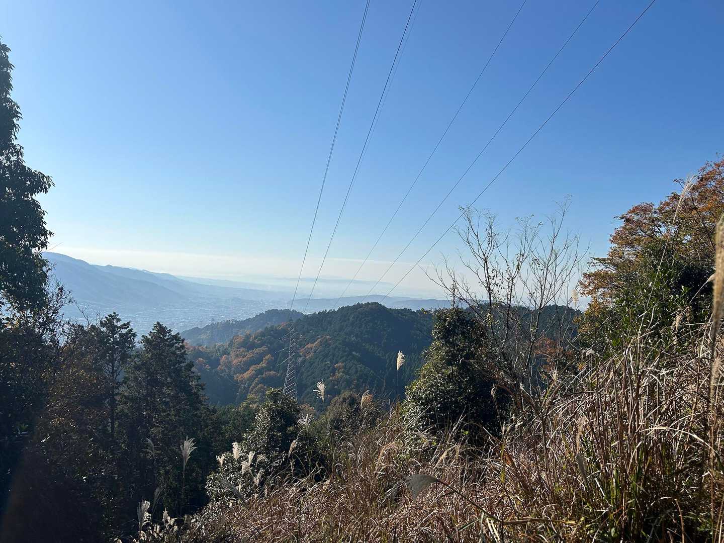 すすきもいい感じ。ここから見る桃山城がいい。