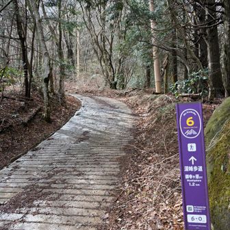 2登目入ります⤴️⤴️