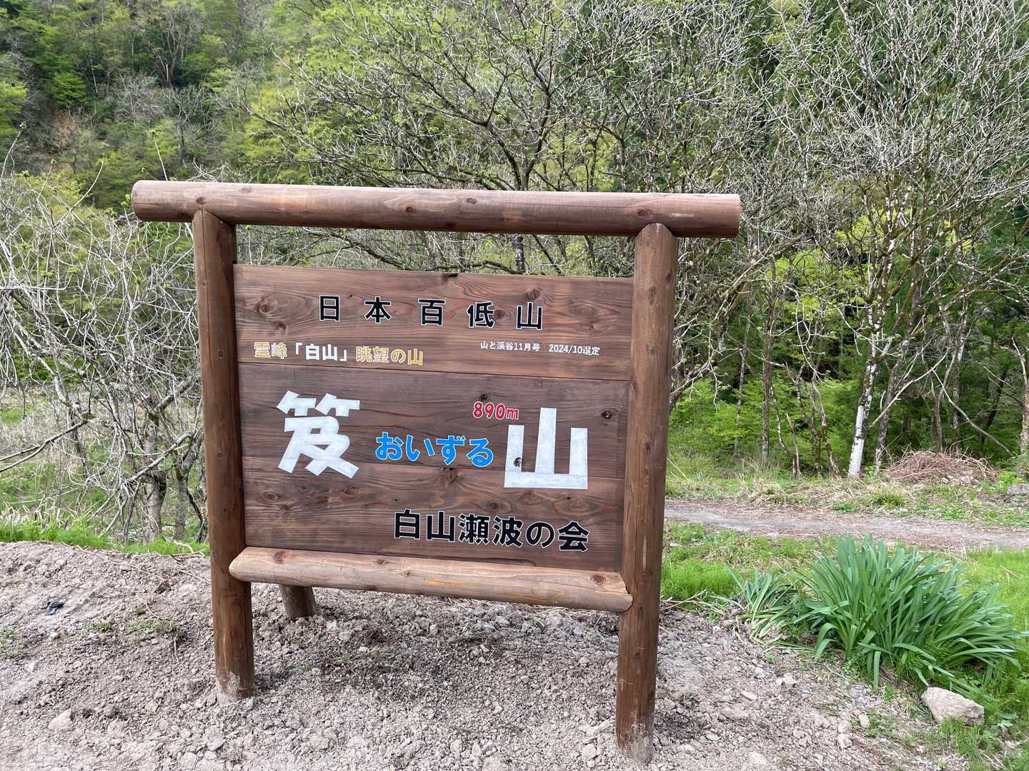 下山終了、最初の目的のカタクリは終わってたけど、シャクナゲ・タムシバは花盛り、イワウチワもいっぱいの良い山でした。