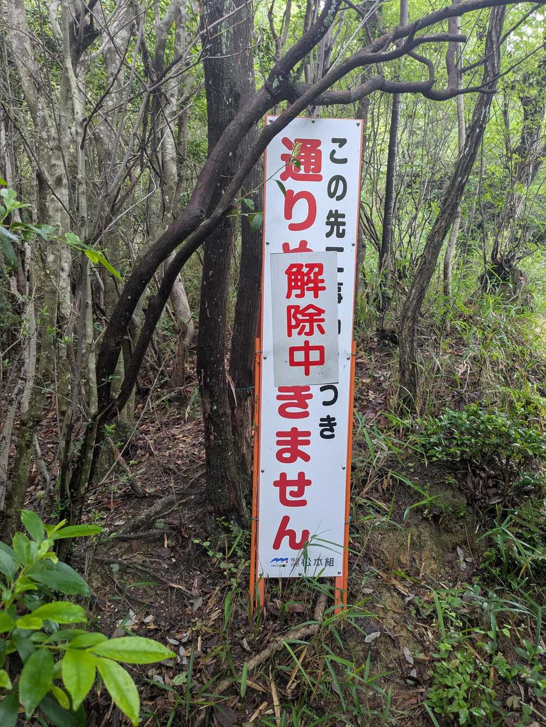 解除中です。
1箇所まだ工事中の場所あったけど、今日は工事してなかったし、問題なく歩けました。