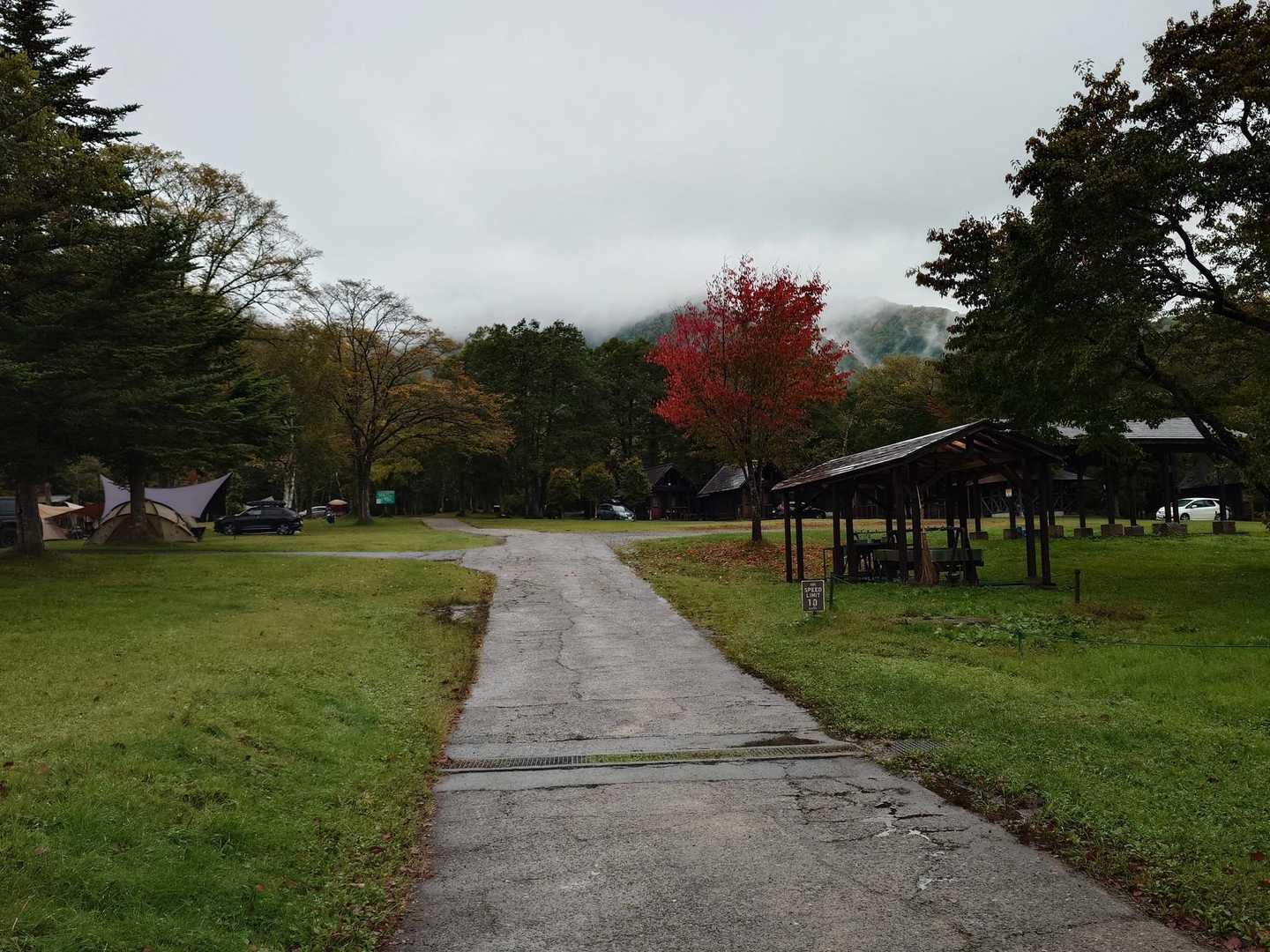 キャンプ場の木々も少しずつ紅葉が進んでいる。
