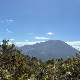 大山は賑わってるんだろうなあ