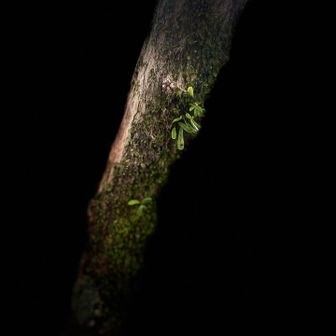 景色は望めないので、違った写真でも