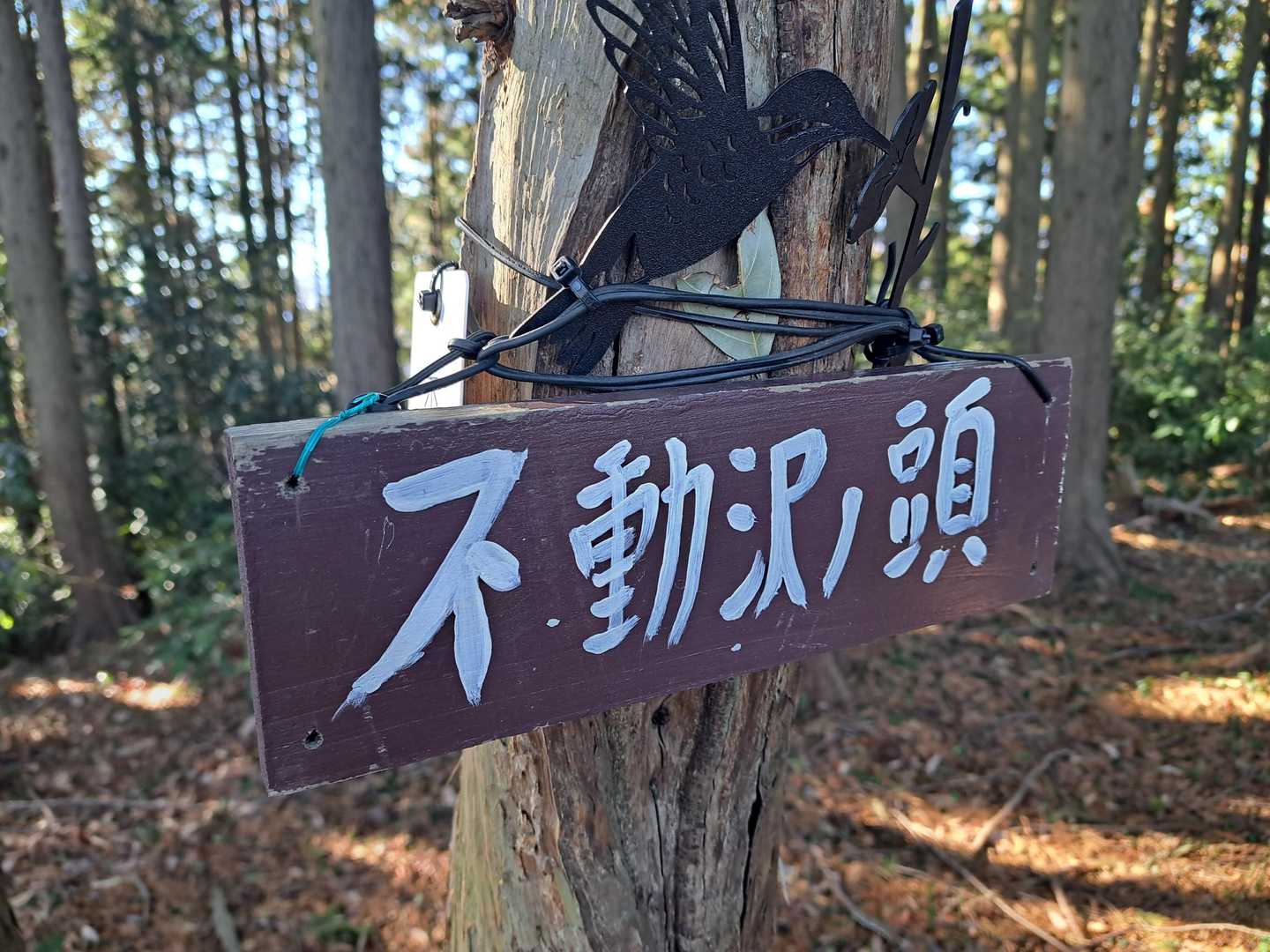 官ノ倉山-烏森山-臼入山 往復コースの写真