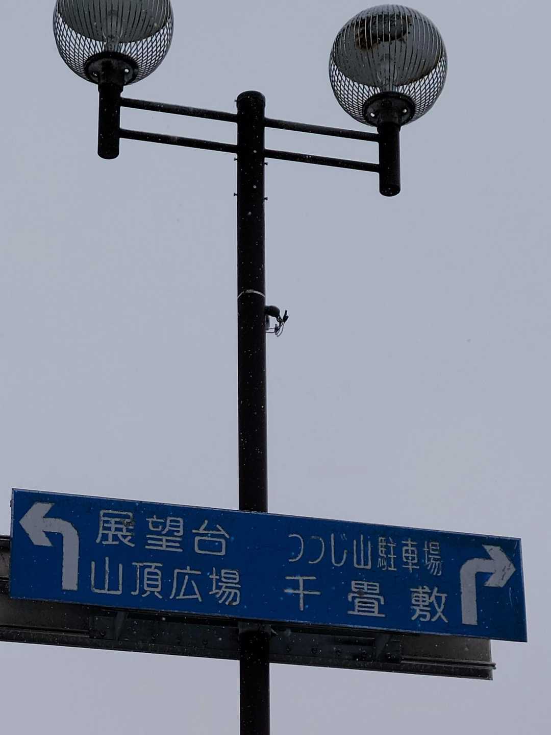 旧登山道コース登山口 周回コースの写真