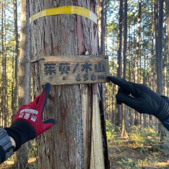 グミの木山の山頂標識への道はちょっと分かりづらかった
今回山頂から下りた方の道から登った方が分かりやすかったかも（道標を右に登山道を進まず左に進んで踏み跡を登る）