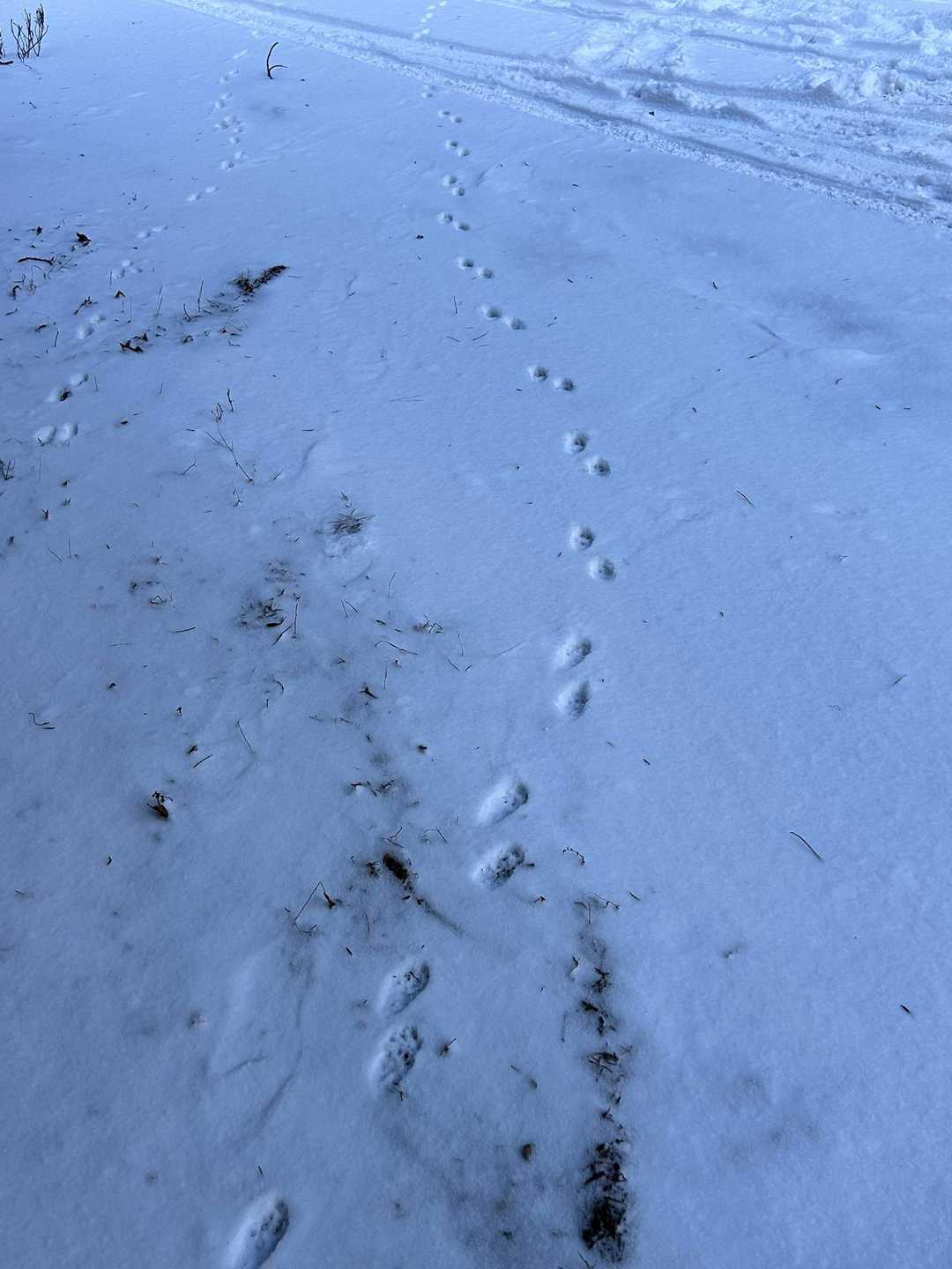 どなたでしょう？