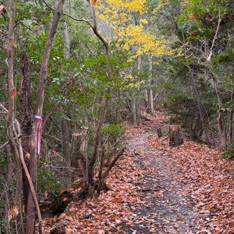東山駅方面へも良い道が続きます