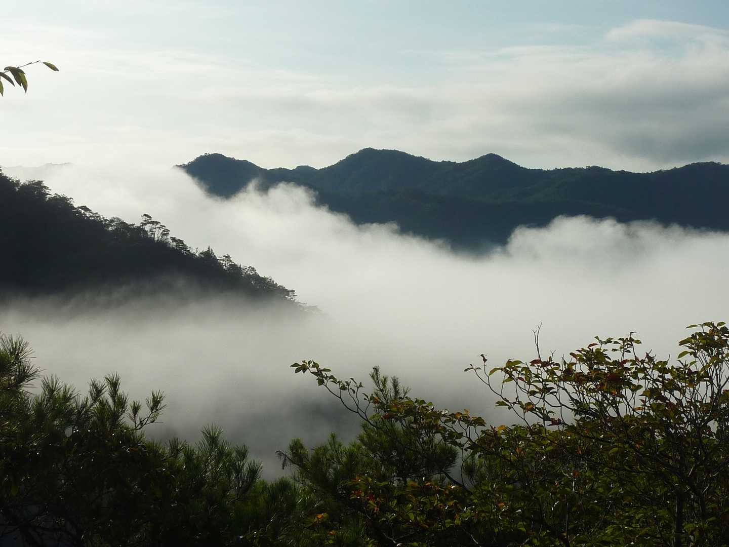 燕山 往復コースの写真