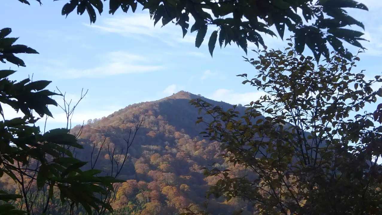 金糞岳の写真