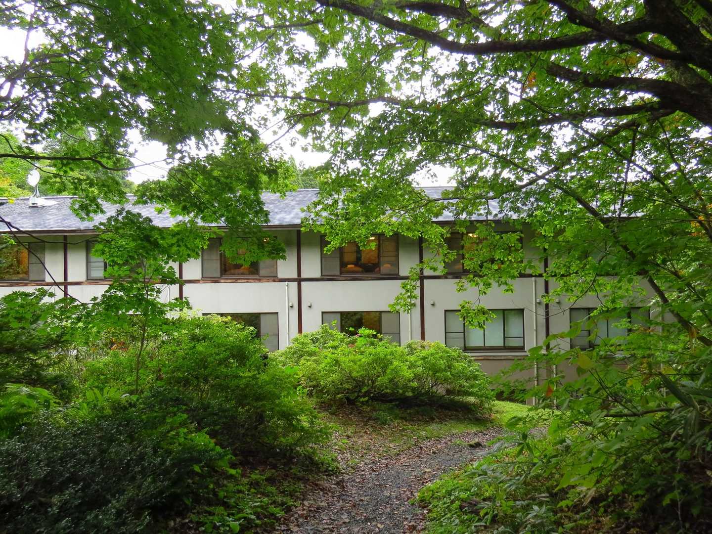 蔦温泉旅館に戻ってきました
旅館の二階のお部屋には、大きな窓からベッドが見えます
朝起きたら、即、豊かな森が見えるって設定ですね