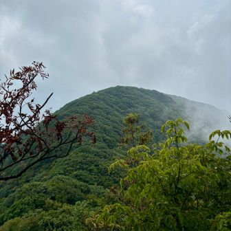 あちらが今回スルーされた
タワラギ山。
いつか行くことがあるのだろうか？
(展望ないと意欲がわかないタチなのです)