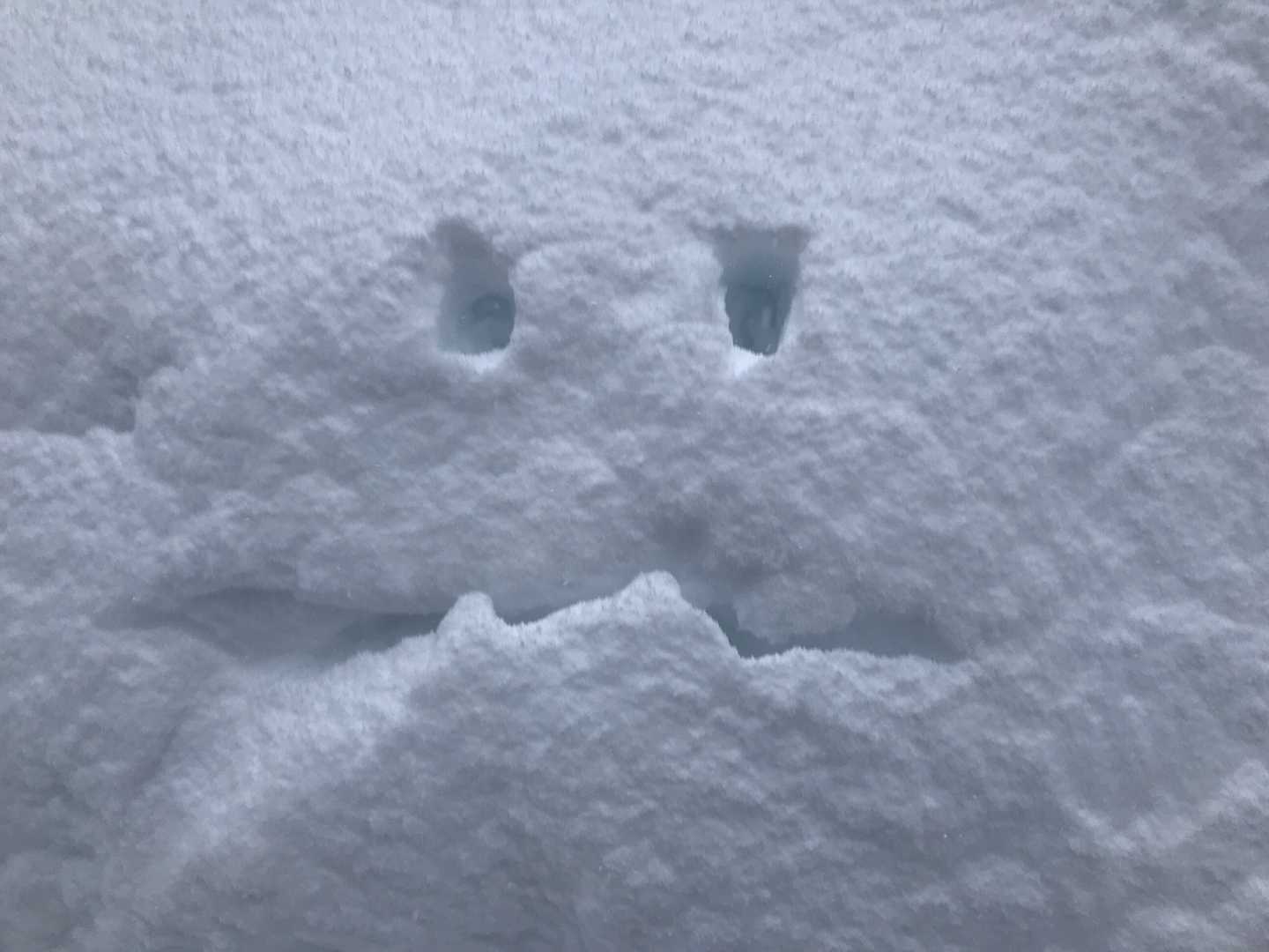目は僕が空けましたが、口は天然です😐