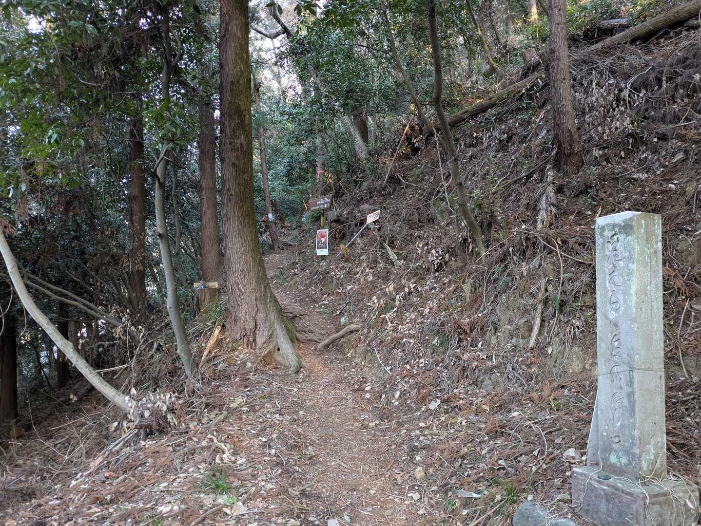 久しぶりの登山にドキドキ😅