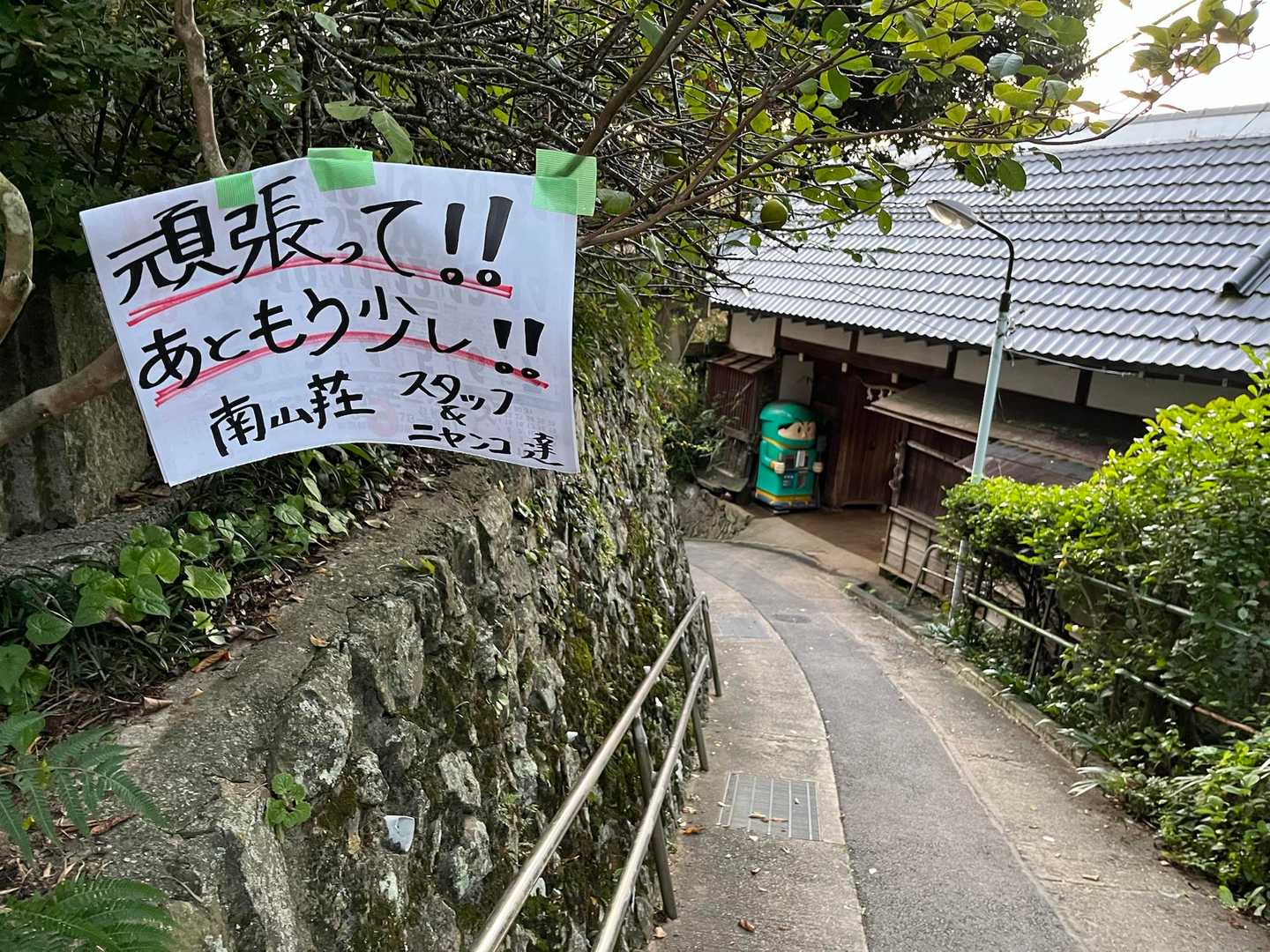 応援に元気が出ました😄