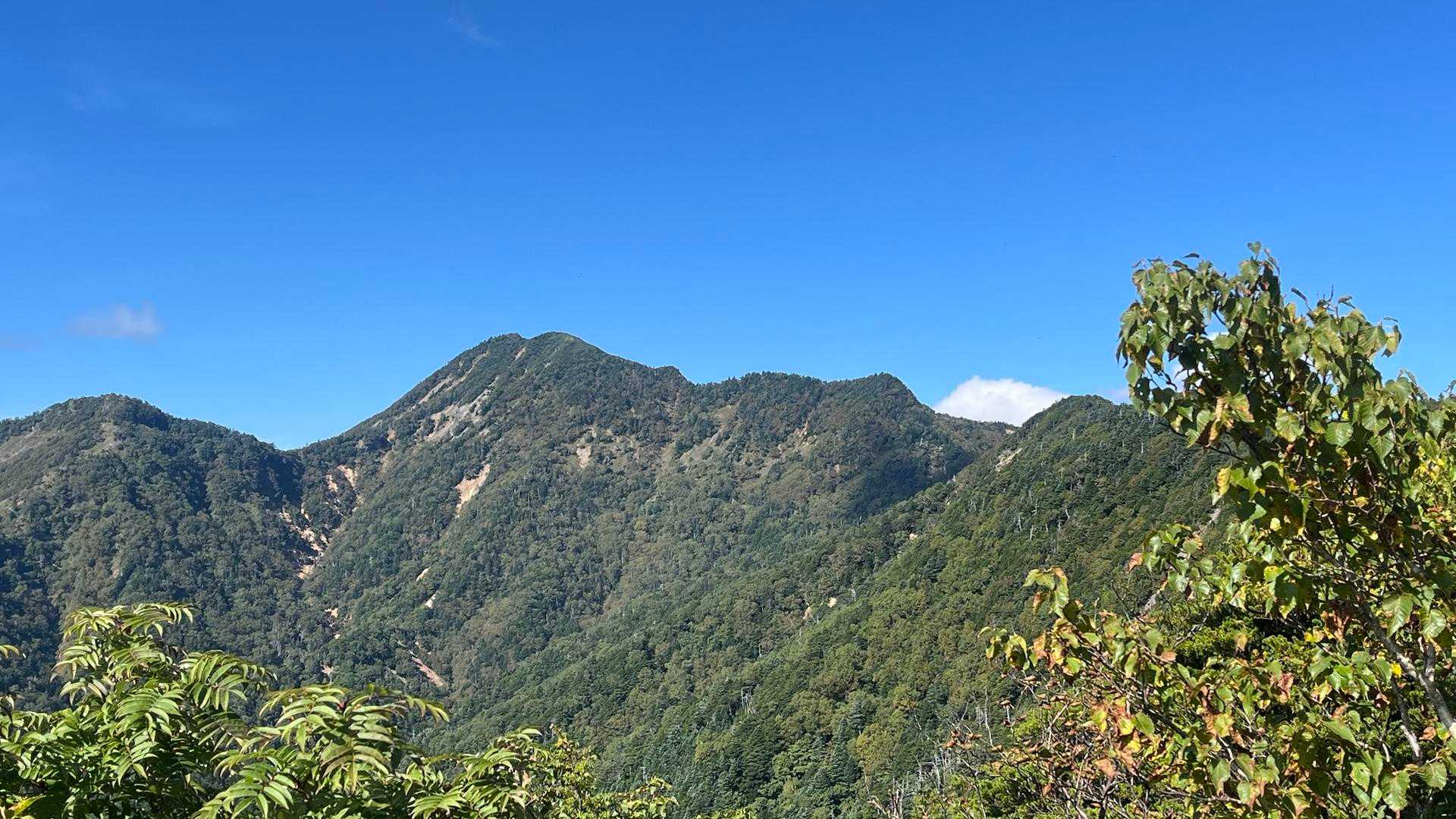 YAMAP地図にここからの展望が良いと書かれていた地点に到着
この辺りから斜面も緩くなり山道は狭いものの急登から解放される