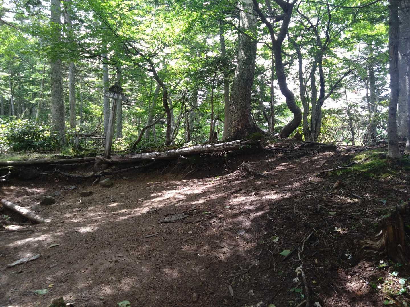稜線に出ました🎶
キツかった🥵