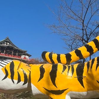 なかなかの迫力🐯