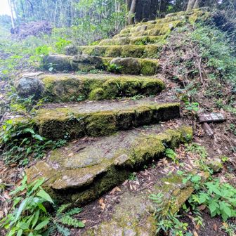 坂本峠帰還！お疲れ山〜👍