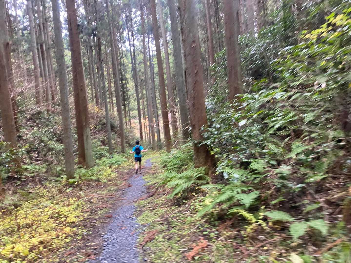もし、何かがあった時は
補給は持ってない
タバコを吸うことしかできないな
と考えた最後のトレイルを爆走