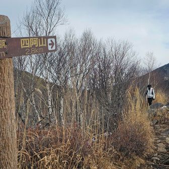 だいぶ降りてきた！
