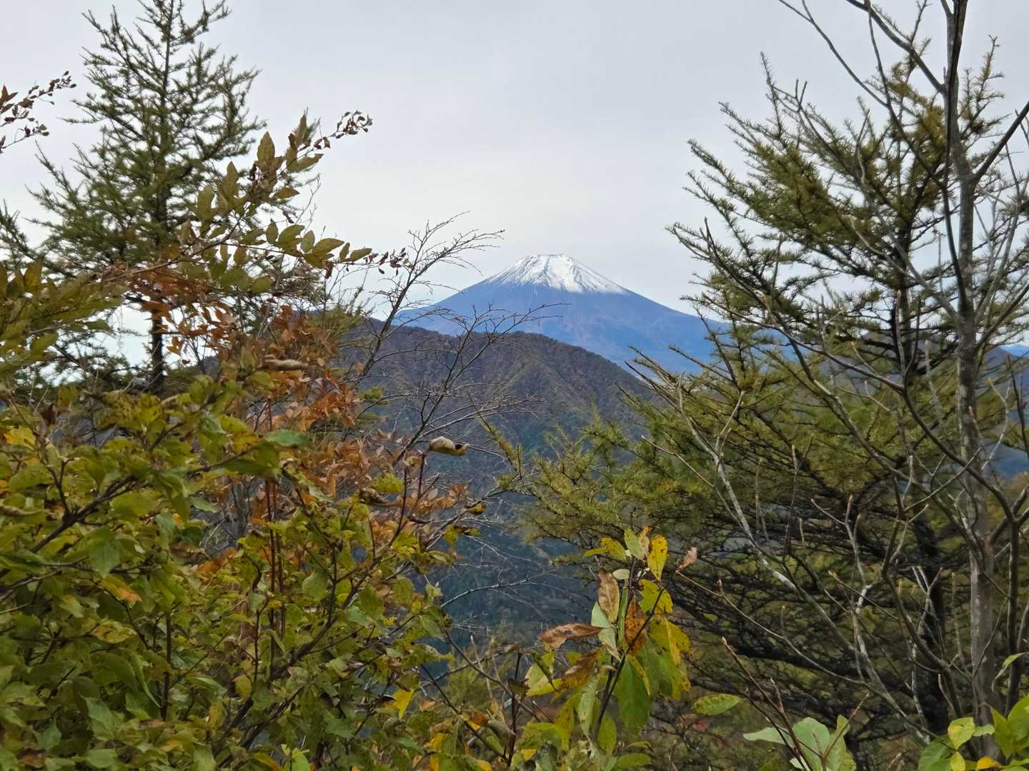 ようやく富士山🗻お目見え🎵