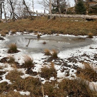 下山の時に凍っていたのに気がつきました。
