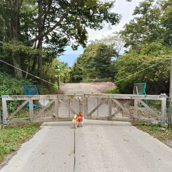 ゲートに到着！
おつかれ山▲