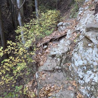 この巻き道はあまりお勧めでは無いかな・・・道が細いし13時でも薄暗い。写真だとそうでもなさそうだけど、ちょっとイヤらしい岩場も。