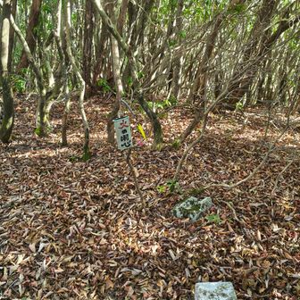 栗代山山頂は小じんまり🤗
標識ないなぁと思ったらホースに書かれた「火の用心」の裏にマジックで栗代山と書かれてるらしい😖💦
誰か確認してきてぇー