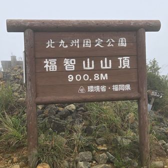 ５４分で山頂