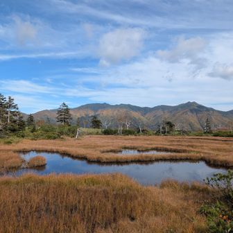 沼ノ原