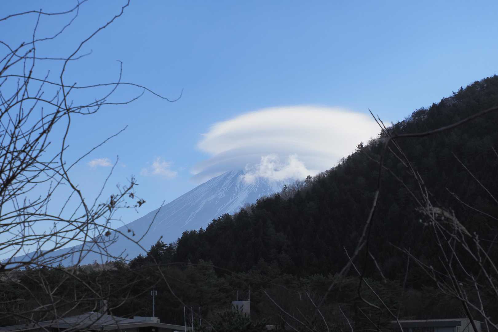 ここにきてそこそこ見えててちょっとガッカリするはにう。
