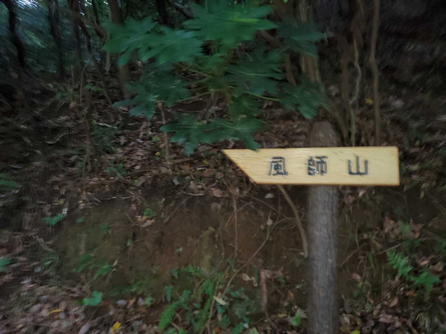 こちらより登る人は少ないよう