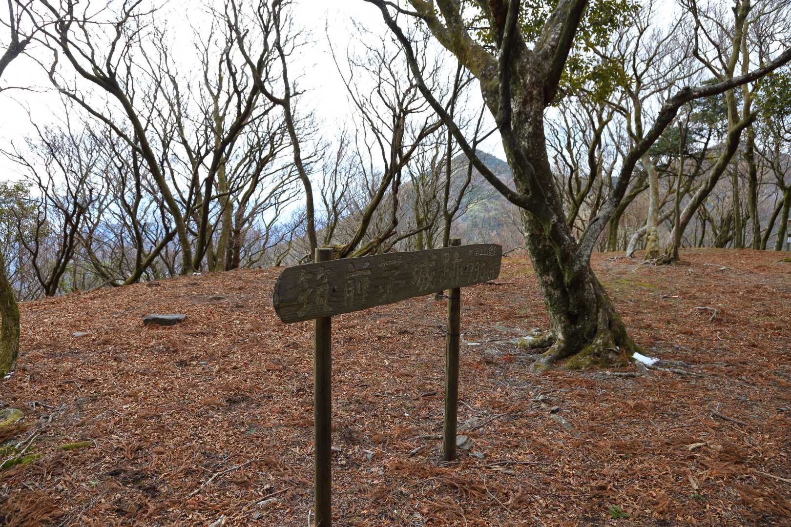筑前茅城跡