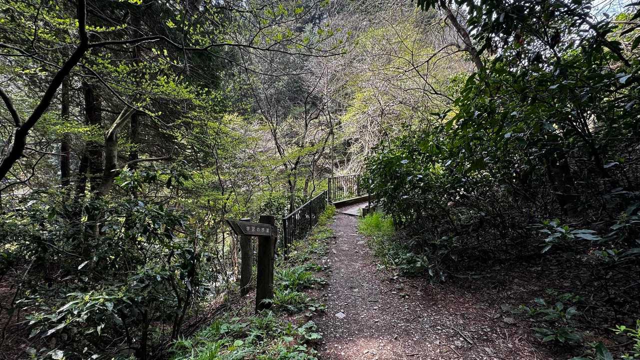 南高尾セブンサミッツ（大洞山・コンピラ山・中沢山・入沢山・泰光寺山・榎窪山・草戸山） の写真 9