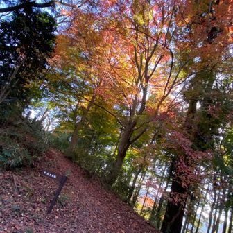 ✨✨✨足の向き、重心は前より後ろ踵を、意識して