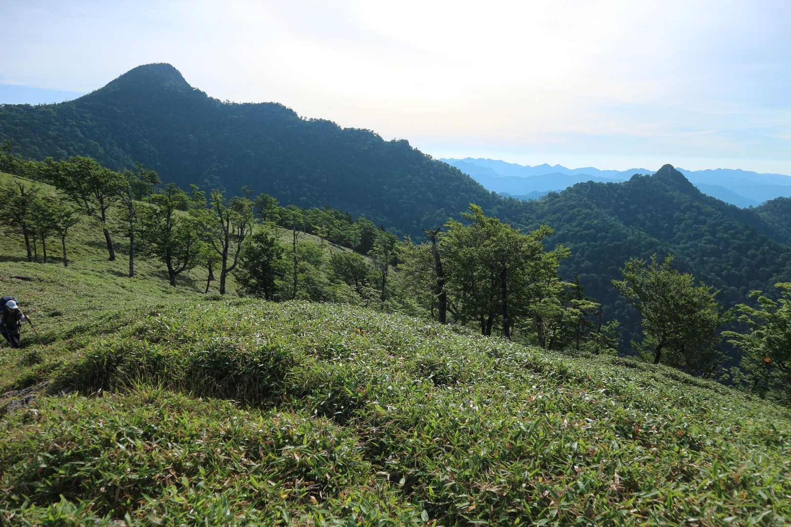 太尾登山口-古田ノ森-千丈平-釈迦ヶ岳 往復コースの写真