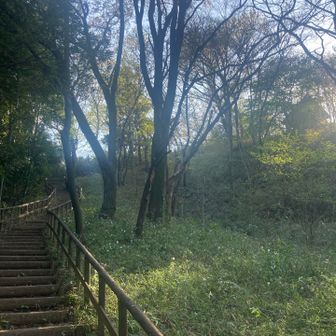 登り切ったところに飯室山展望台が見えます