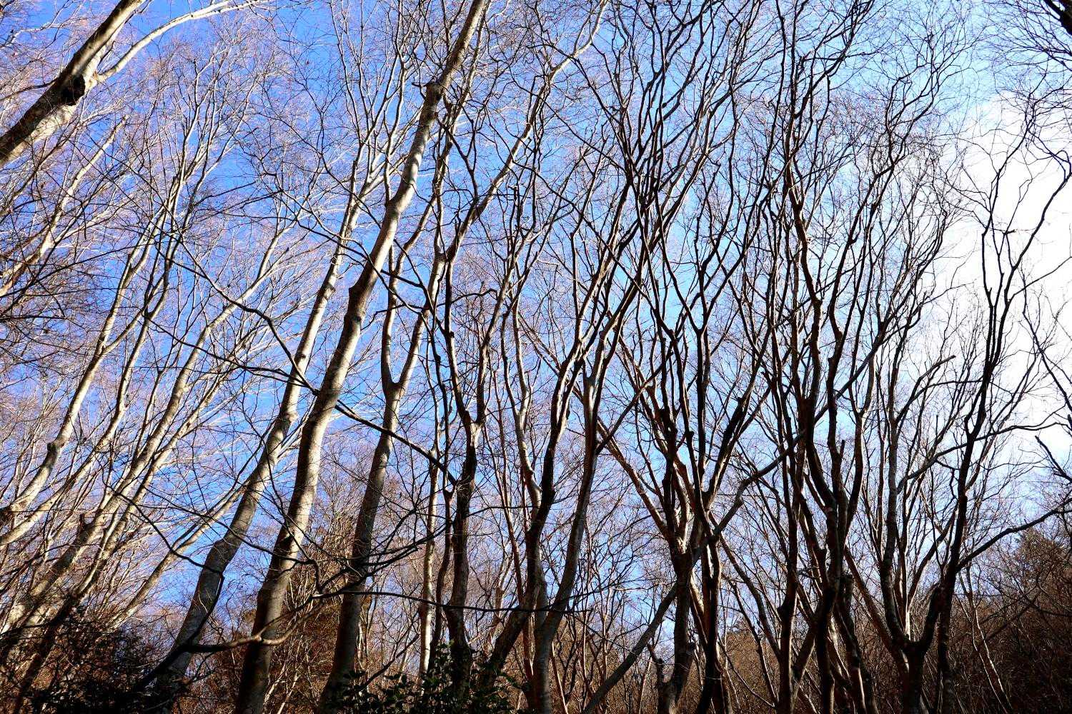 うーん。
今日も気持ちよい空💙