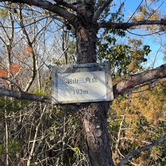 １座目：羽山🪶