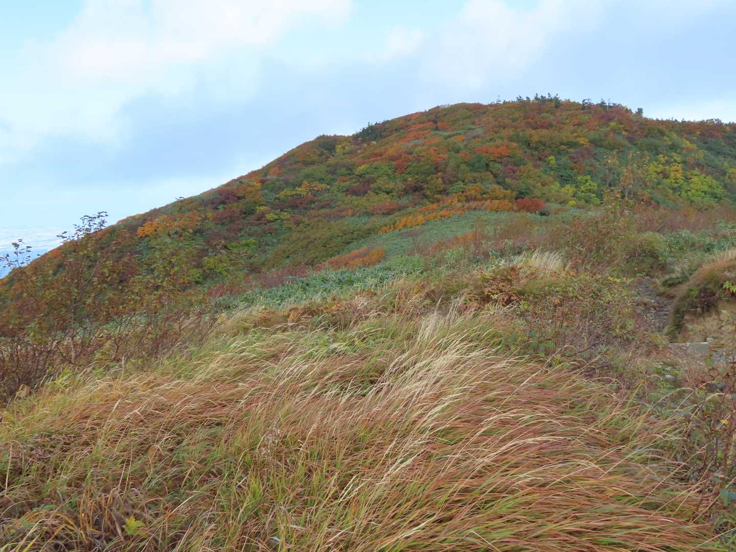 前僧ヶ岳-僧ヶ岳-北駒ヶ岳-駒ヶ岳 往復コースの写真